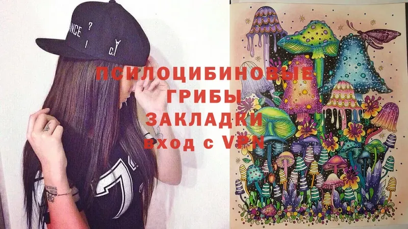 kraken   Гвардейск  Псилоцибиновые грибы Magic Shrooms  закладка 